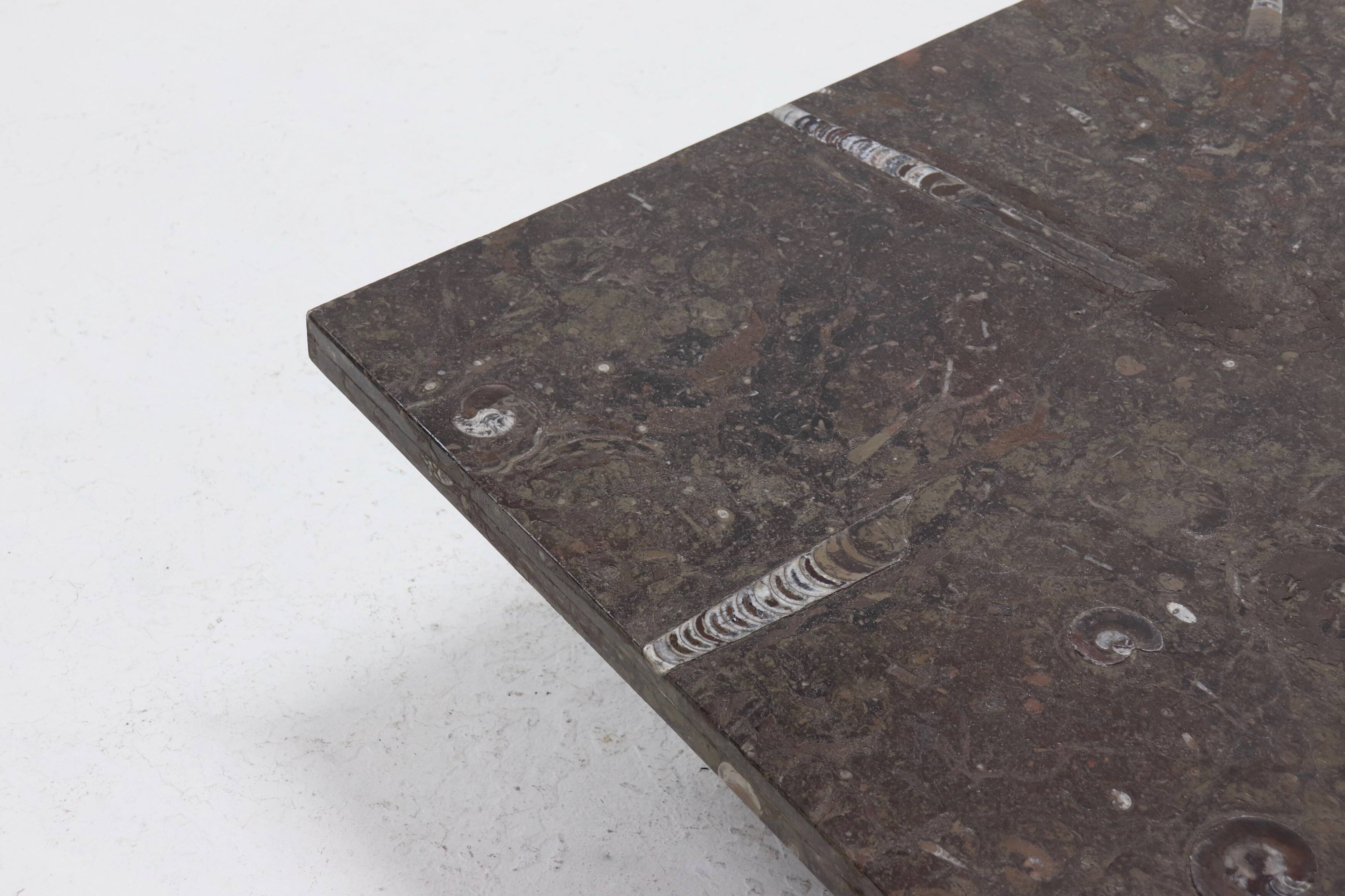 Rare Fossil Stone Coffee Table by Metaform 1970s