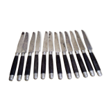 Set de 12 couteaux à dessert argent ébène acier fin XIXeme