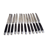 Set de 12 couteaux à dessert argent ébène acier fin XIXeme