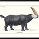 Lithographie gravure chimère animal - le toucéros