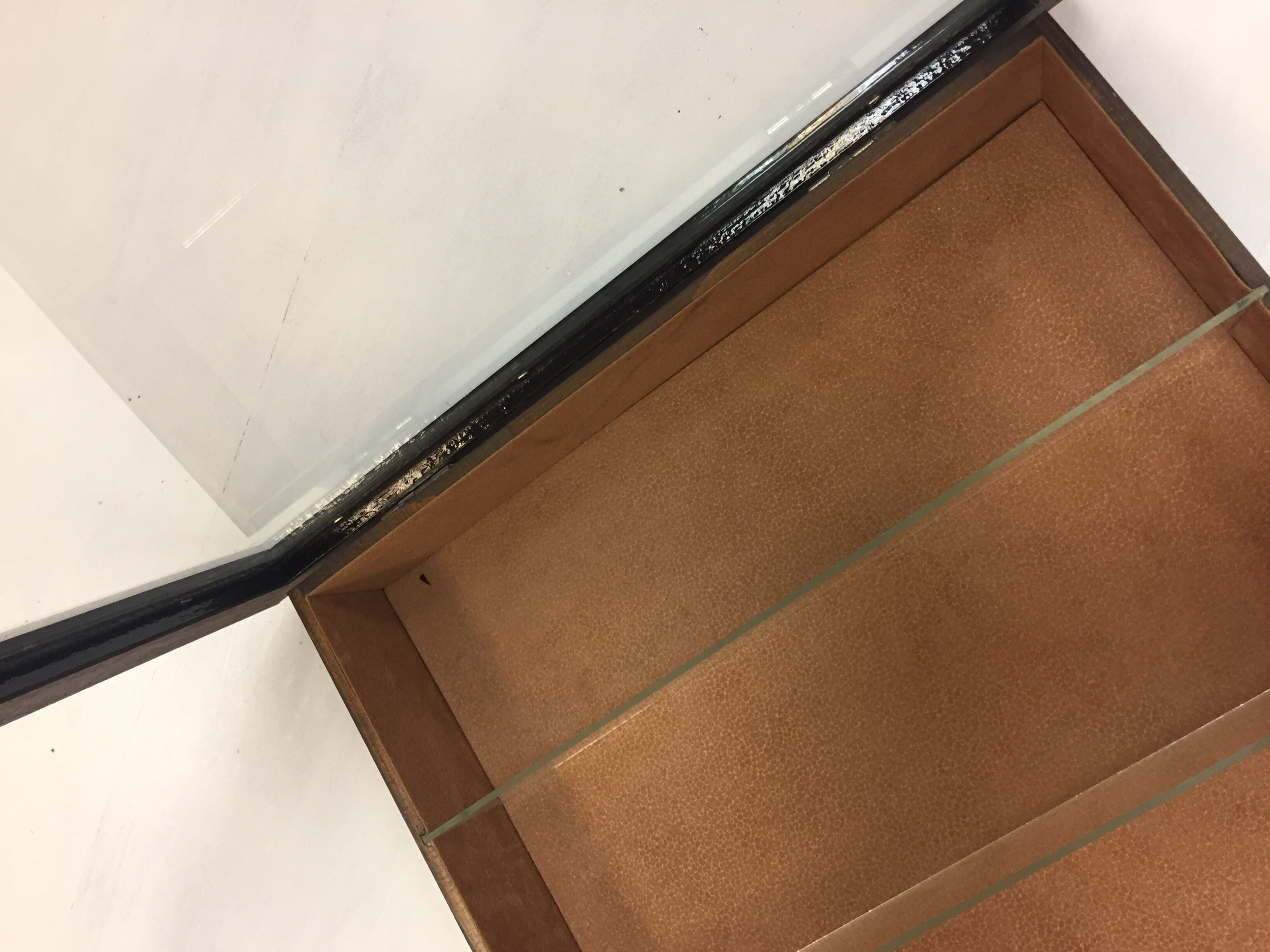 Vitrine en loupe & autruche