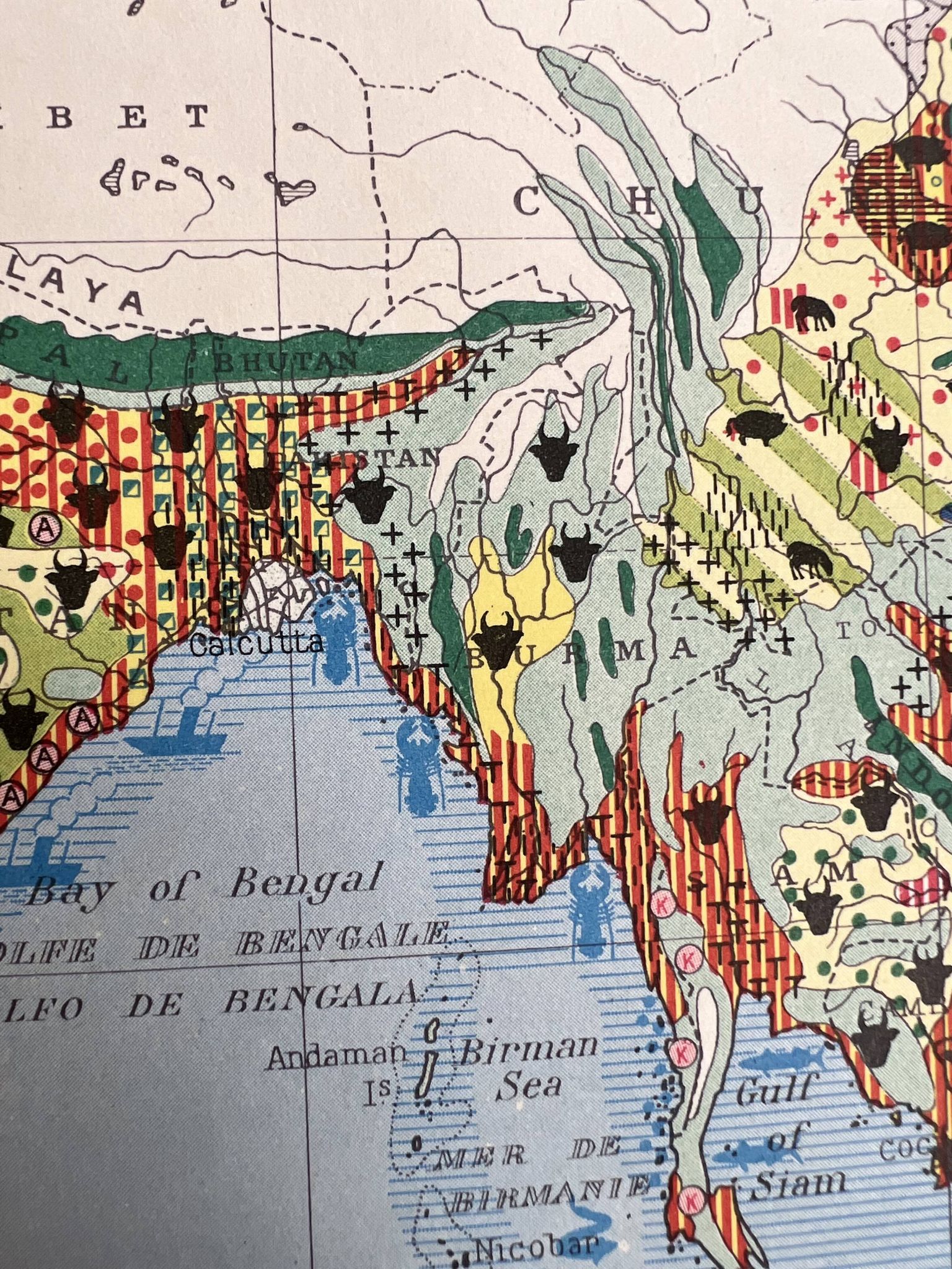 Carte agricole ancienne Ancien Continent — Végétation, Cultures, Éleva