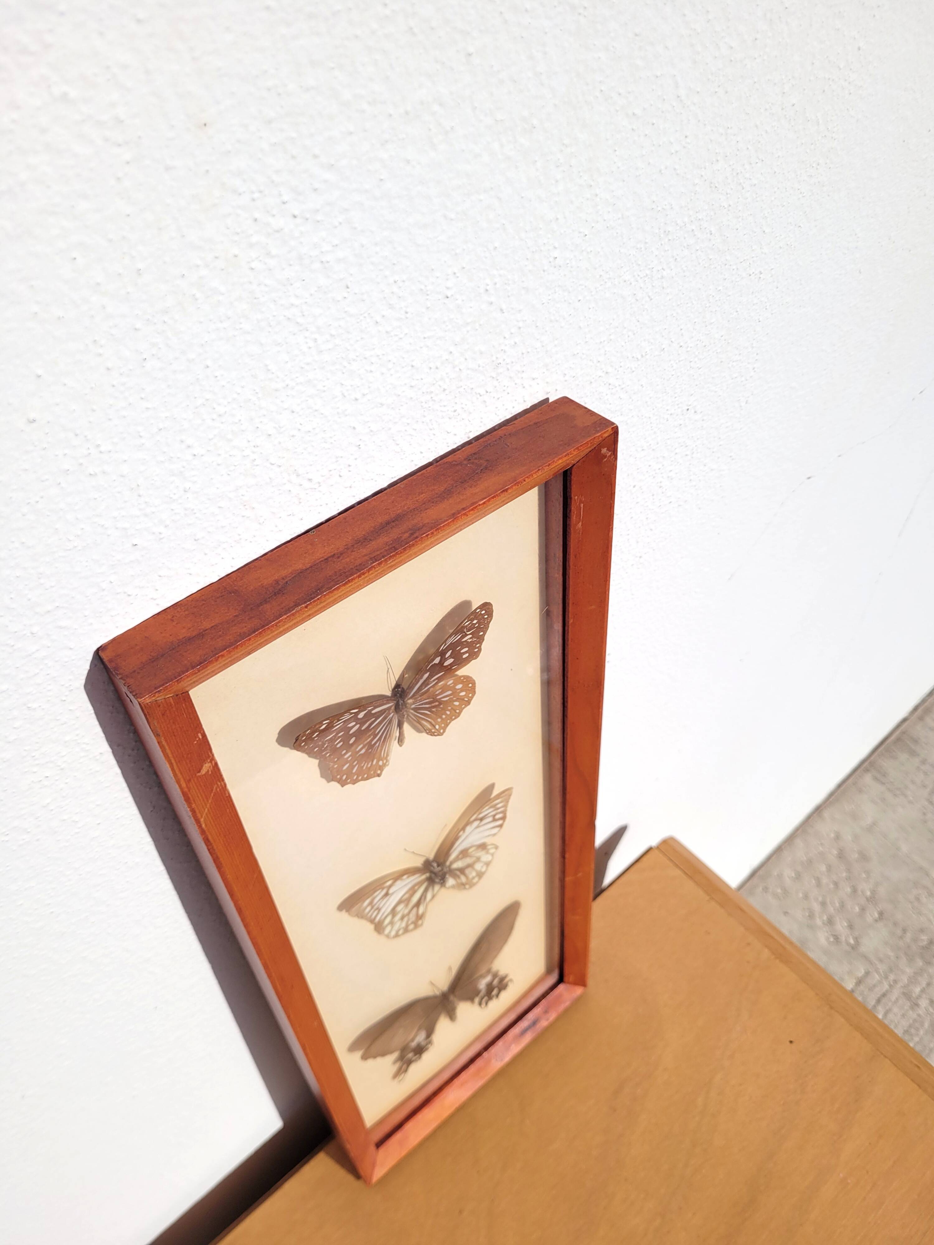 Painting with 3 butterflies