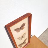 Painting with 3 butterflies