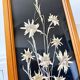 Vintage mountain edelweiss flower herbarium frame
