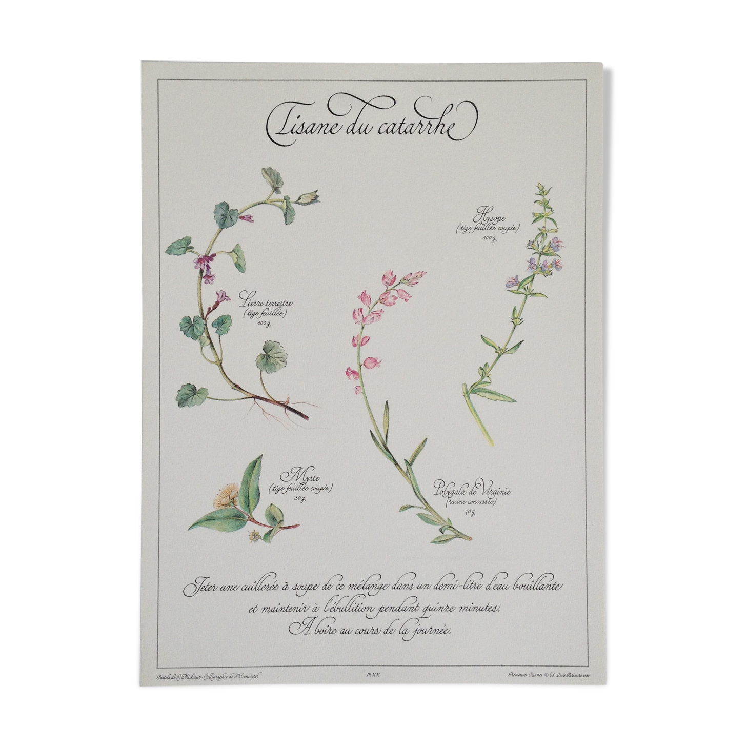 Botanical plank herbal tea of catarrh