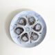 Saint-Amand Earthenware Oyster Plate