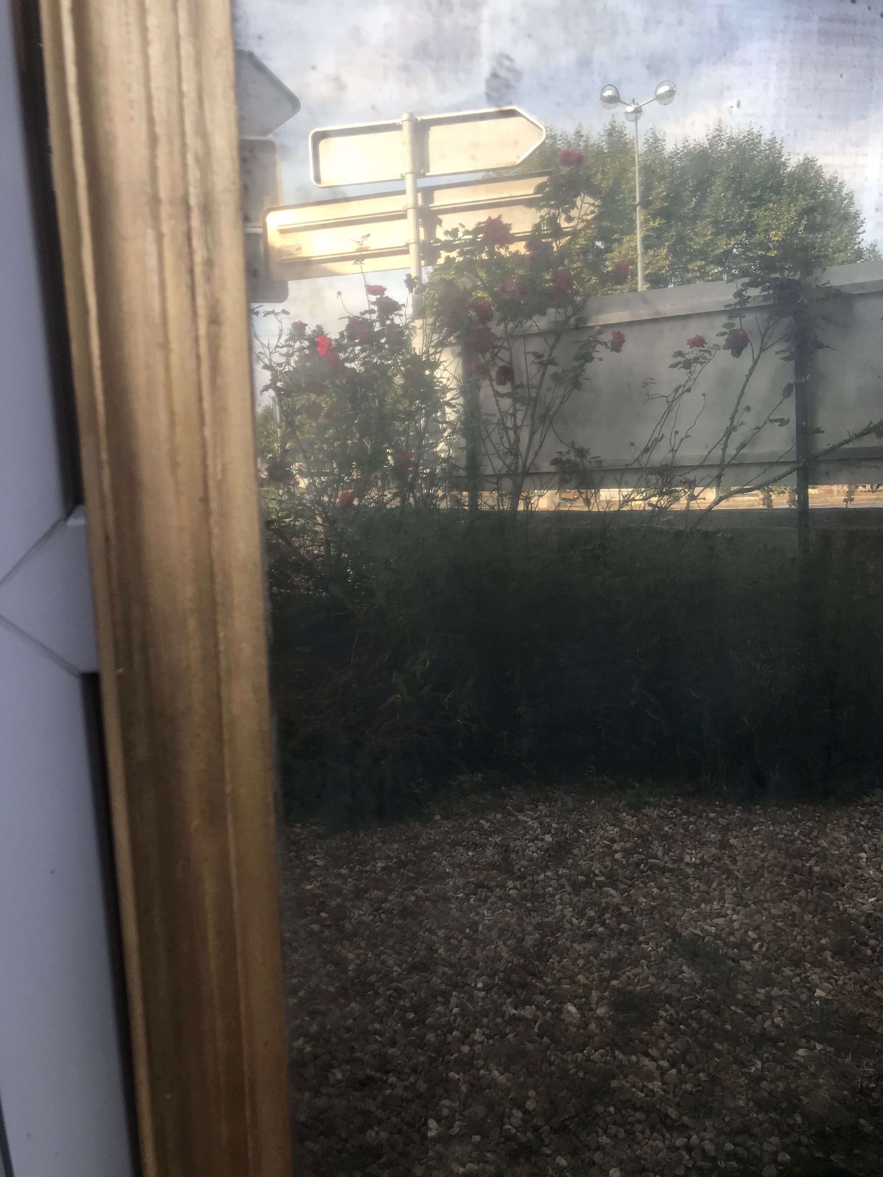 Golden mirror with sheet 151 x 103 cm