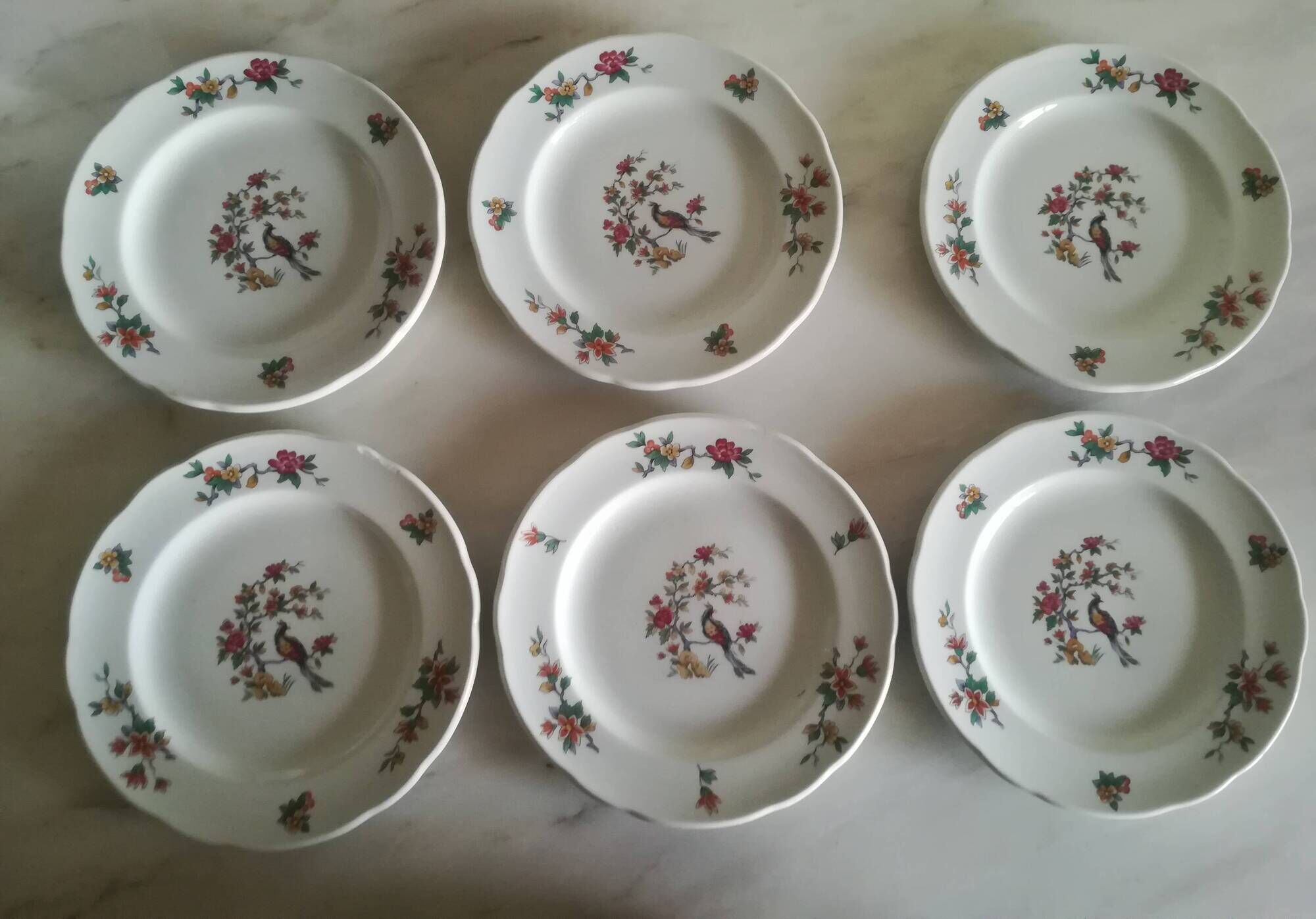 Set of 12 Pyroblanc dessert plates | Bird of Paradise
