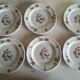 Set of 12 Pyroblanc dessert plates | Bird of Paradise