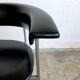 Pair of chairs model gamma Rudolf Wolf 1960