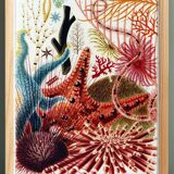 Poster about the echinoderms of the Great Barrier Reef, 1893