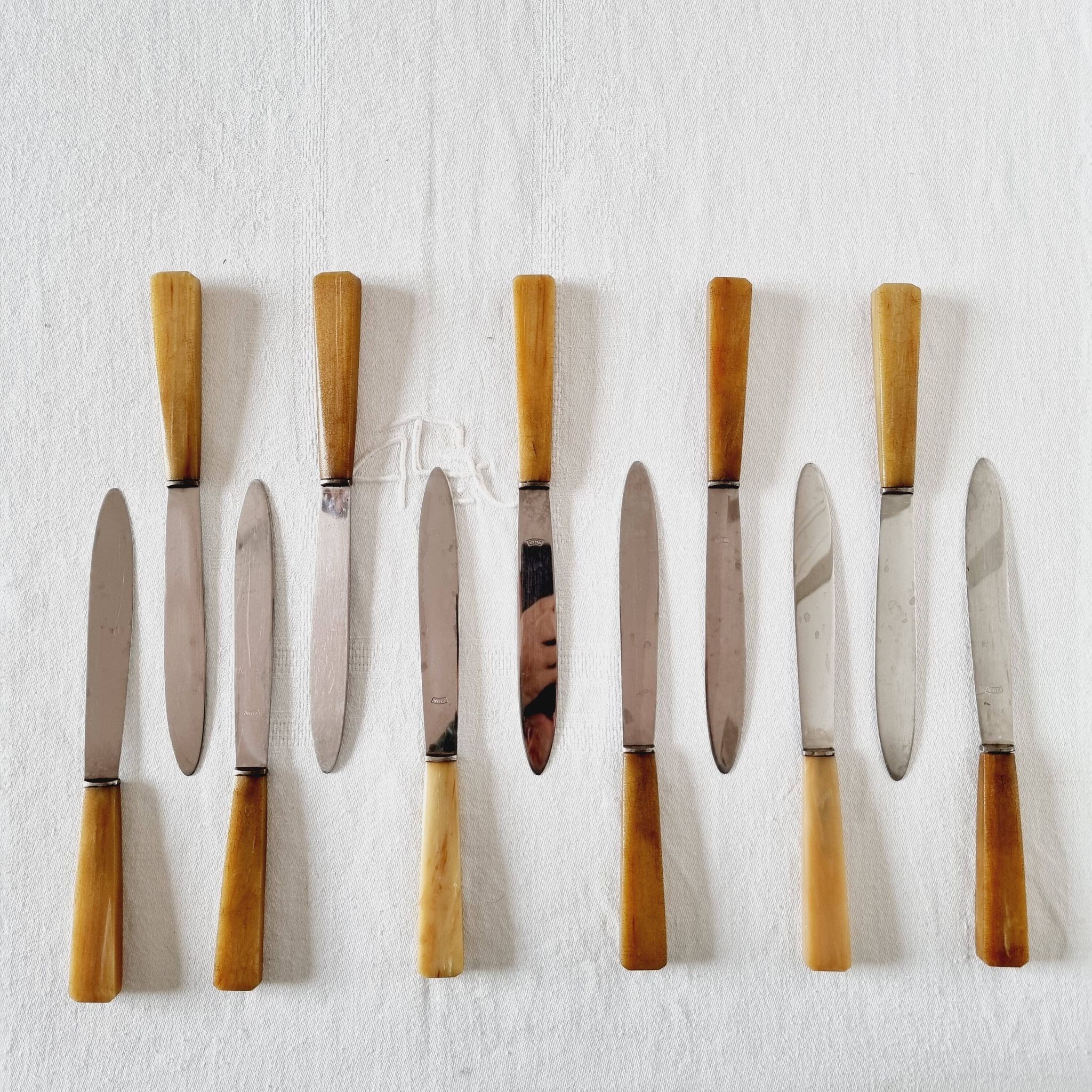 12 antique knives with edgeless resin handle and stainless steel metal