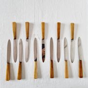 12 antique knives with edgeless resin handle and stainless steel metal
