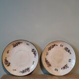 Set of 2 Villeroy & Boch mettlach 1562 bowl plates