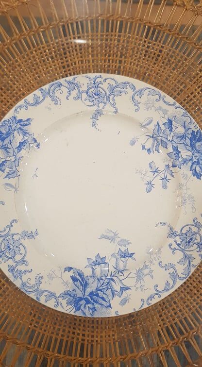Plate in Iron Earth model Campanula