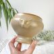 6 Vintage Emile Henry Ceramic Lion Head Onion Soup Bowls