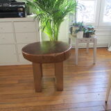 Nature art Collection side table