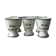 Tasses