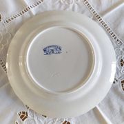 Old flat plate David Johnston