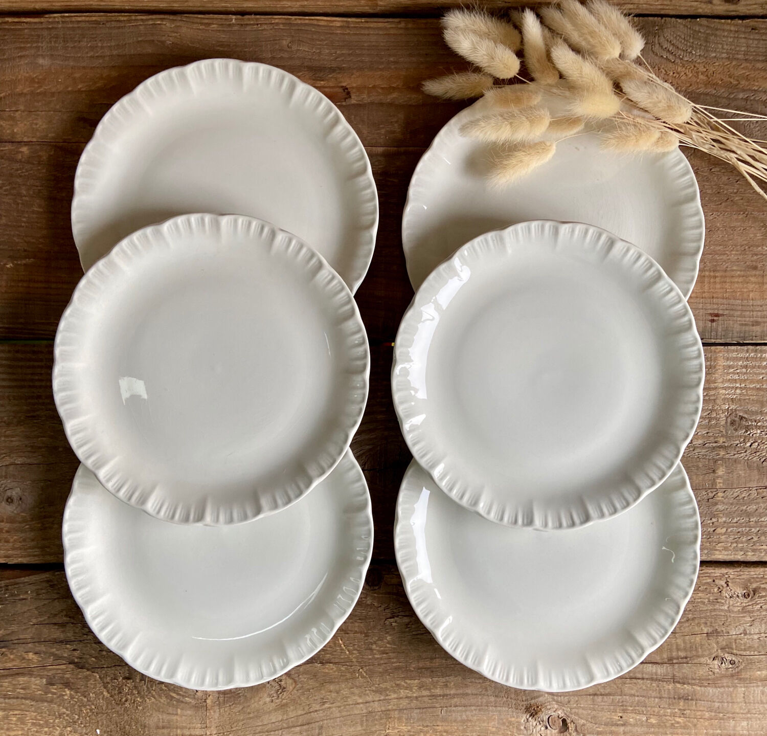 6 Digoin Sarreguemines dessert plates