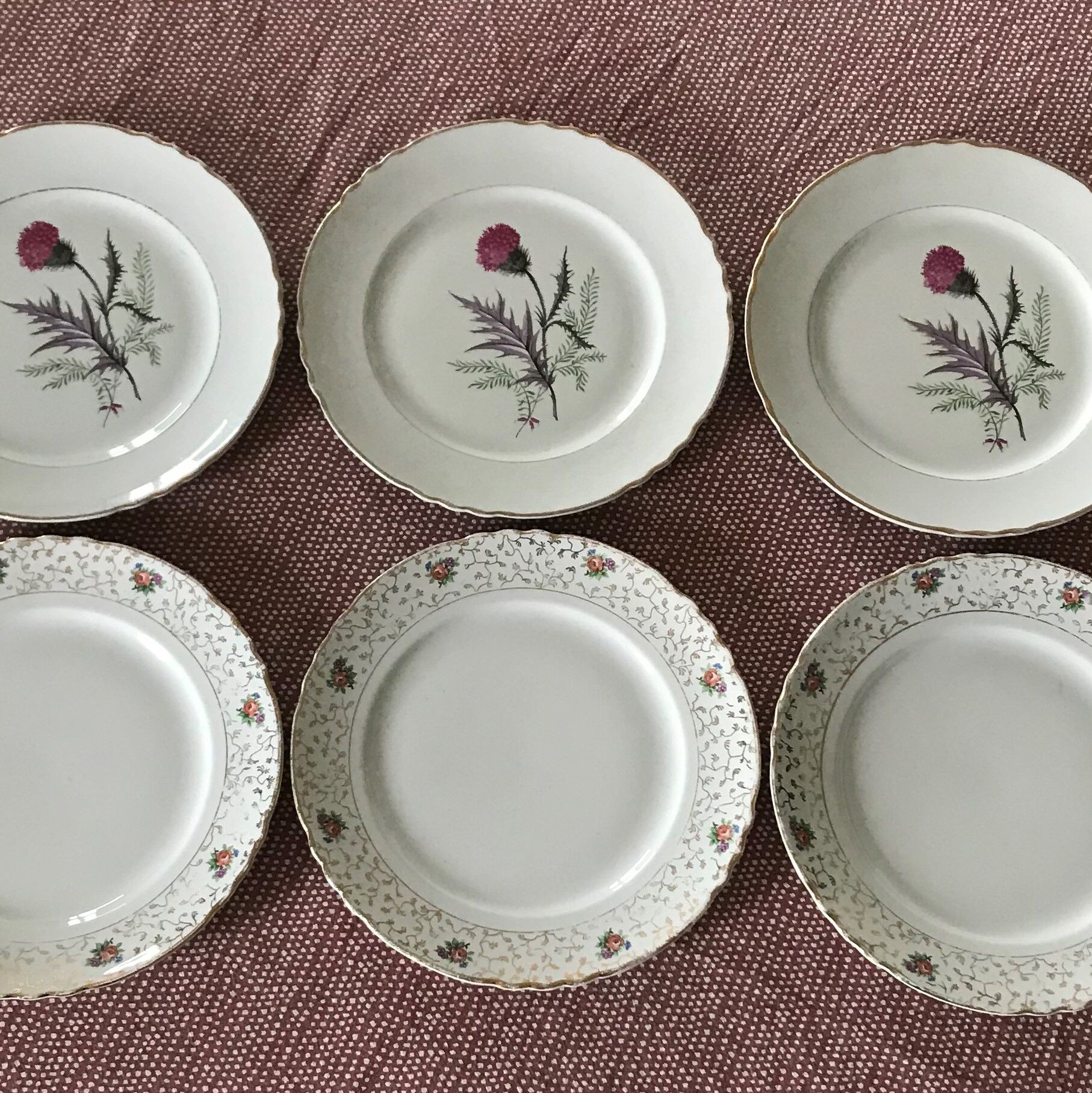 Series of 6 vintage plates