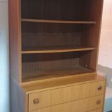 Vintage Danish teak library