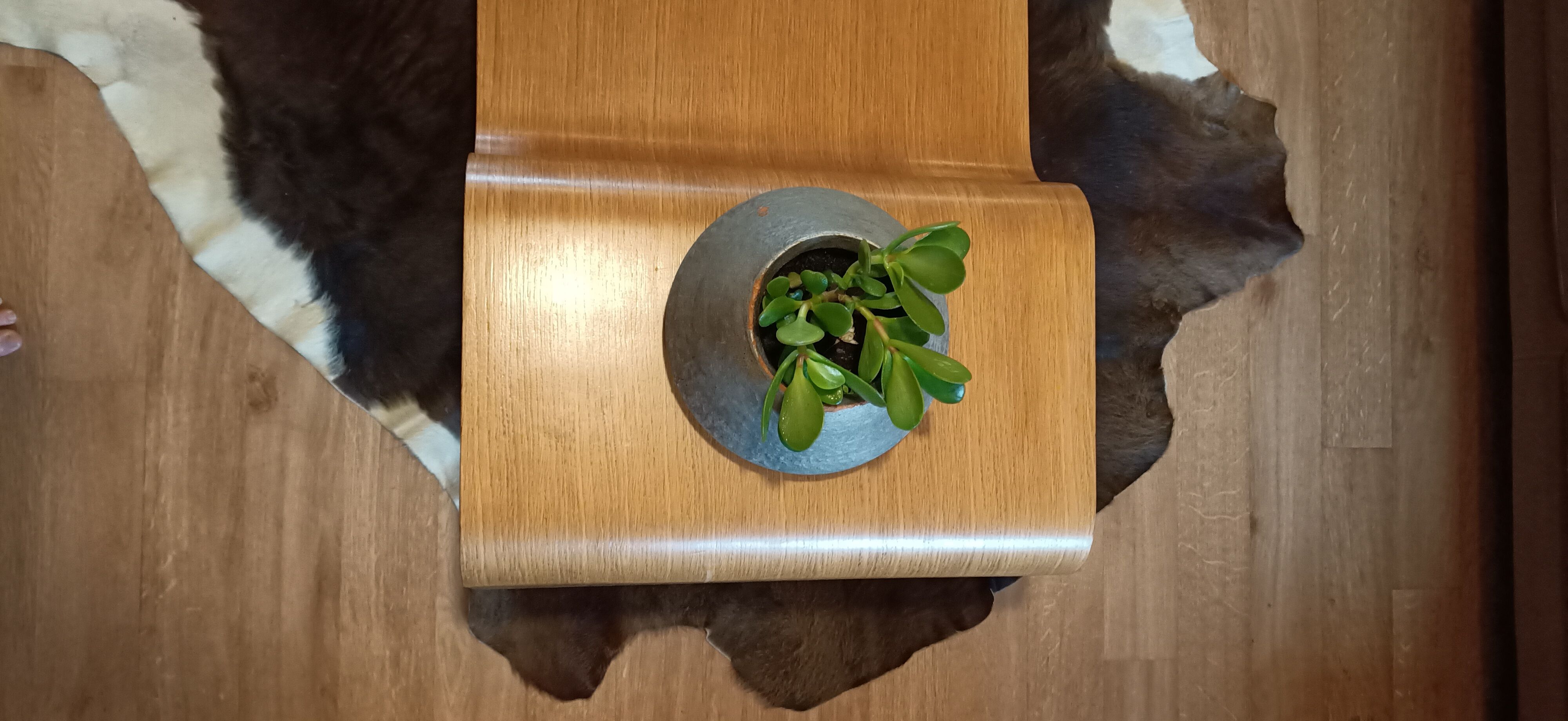 Vintage cow skin carpet, 140 cm x146 cm