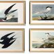Set of 6 posters on terns