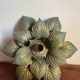 Masca metal flower wall or pendant light