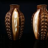 Pair of vases of G.De Bruyn 20' 30'
