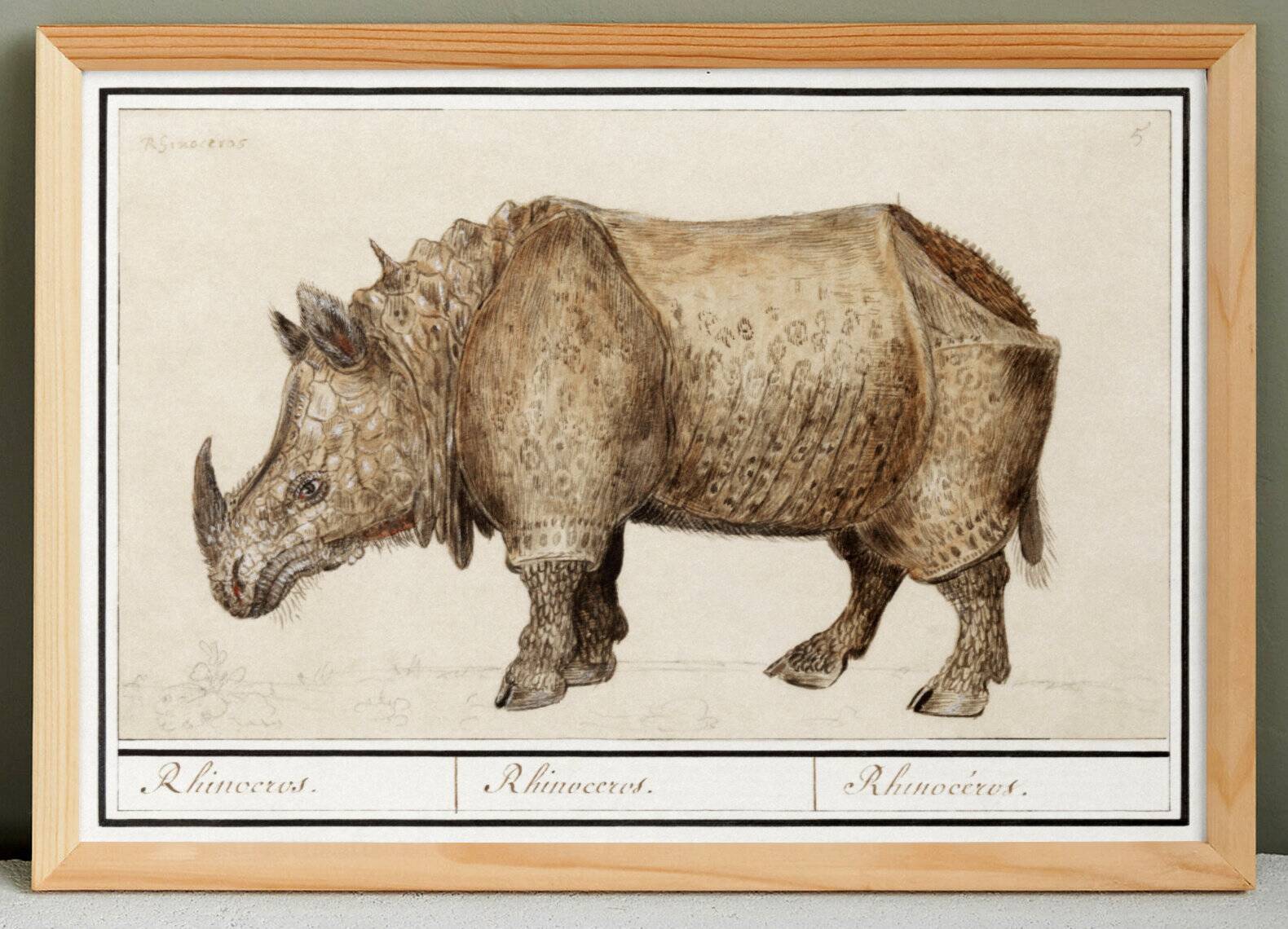 Small poster about the rhinoceros, after an old engraving from 1610.