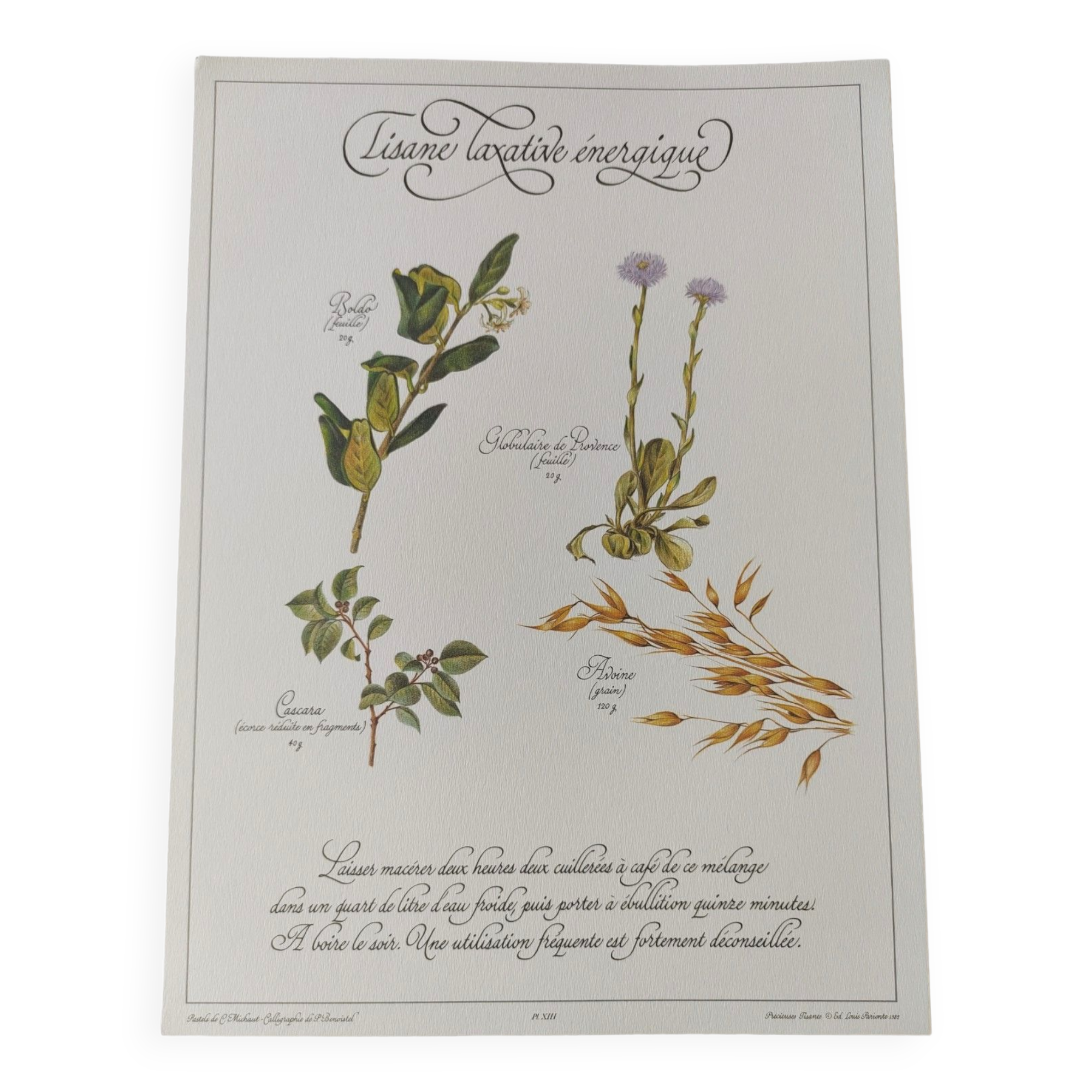 Engraving medicinal plants -Energetic laxative herbal tea- Botanical illustration