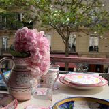 Angel delight pitcher rose