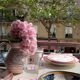 Angel delight pitcher rose