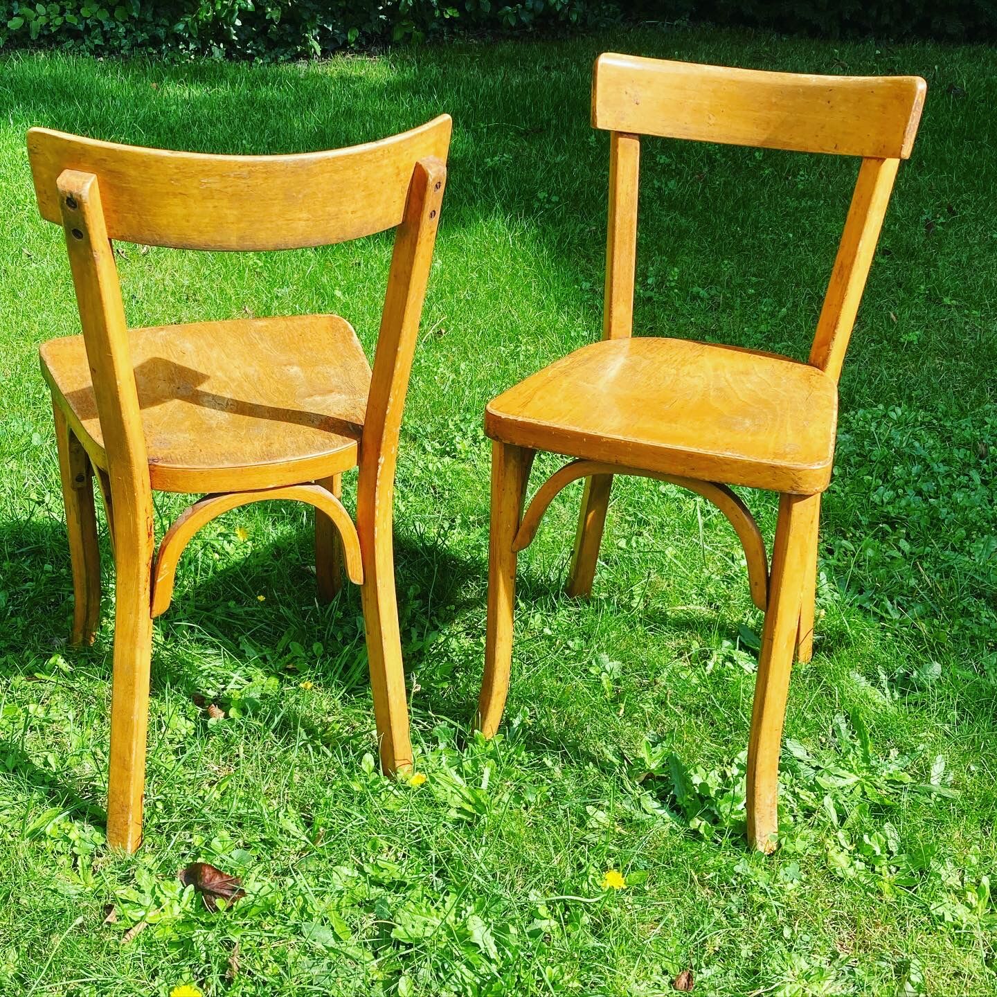 Baumann chairs