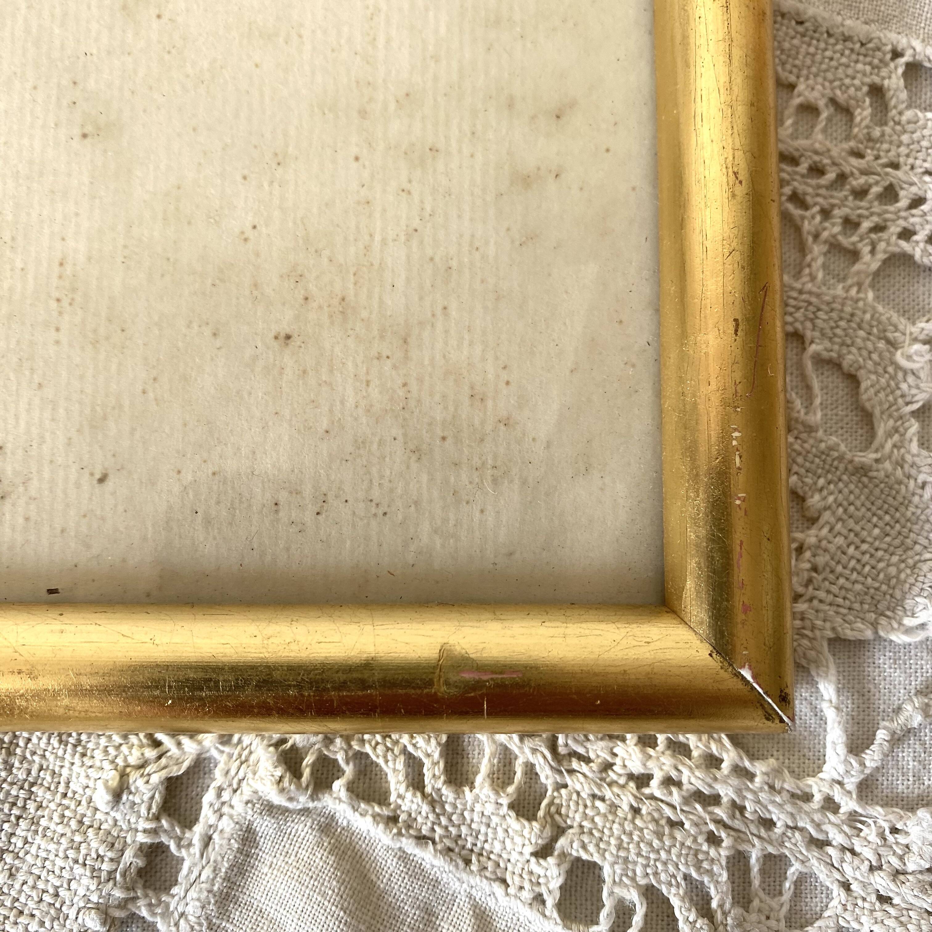 Framed pink botanical board