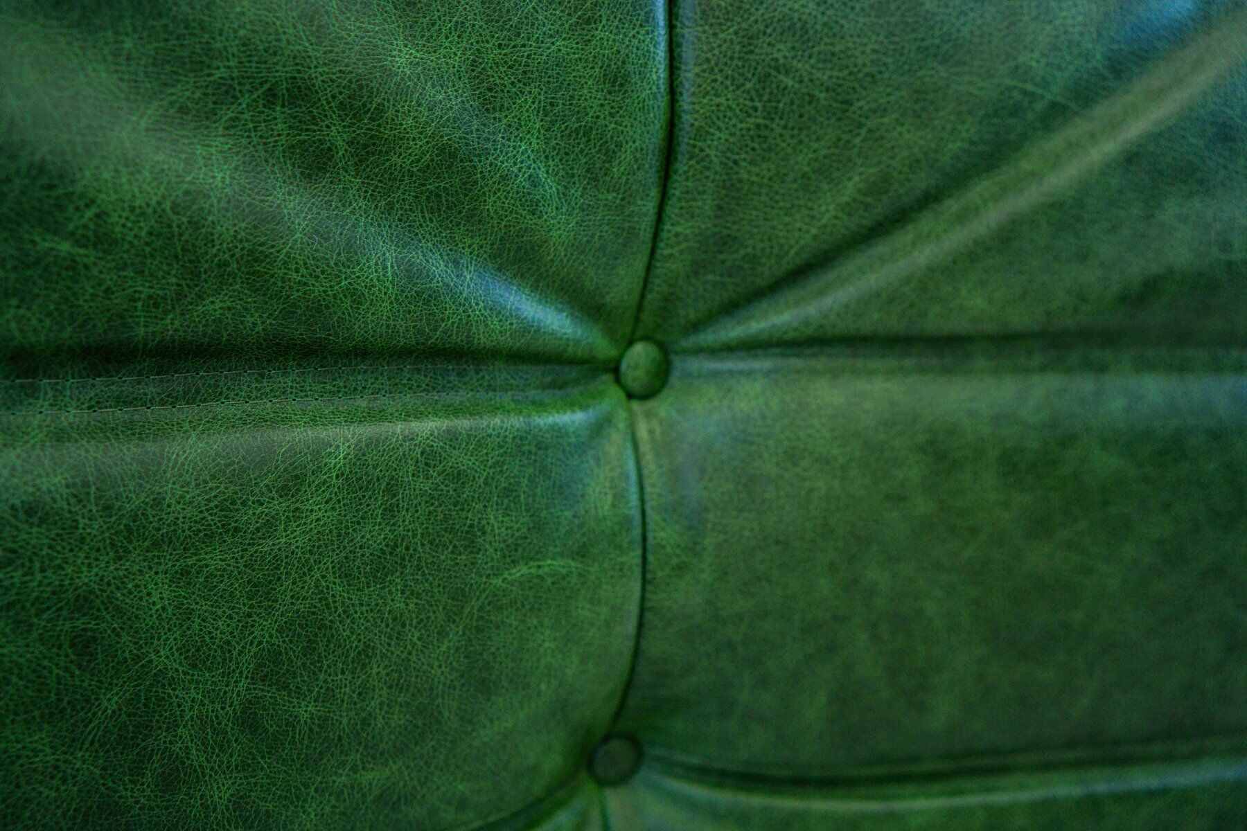 Vintage two-seat Togo sofa with arms in green leather by Michel Ducaroy for Ligne Roset, 1970s