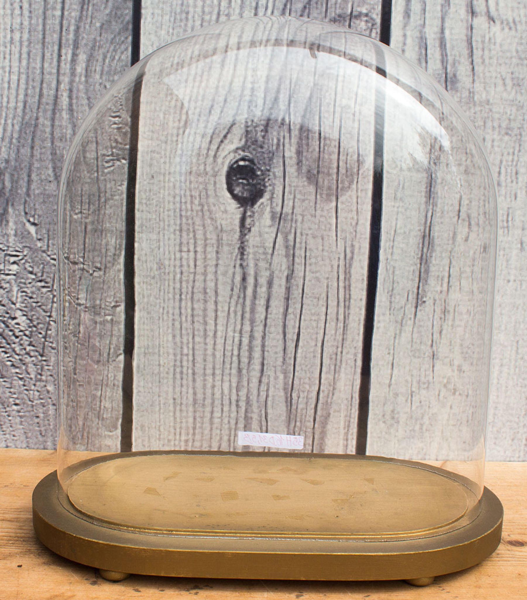 Vieille globe cloche en verre ovale 35 cm haute
