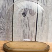 Vieille globe cloche en verre ovale 35 cm haute