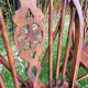 4 Windsor wheelback chairs in dark oak
