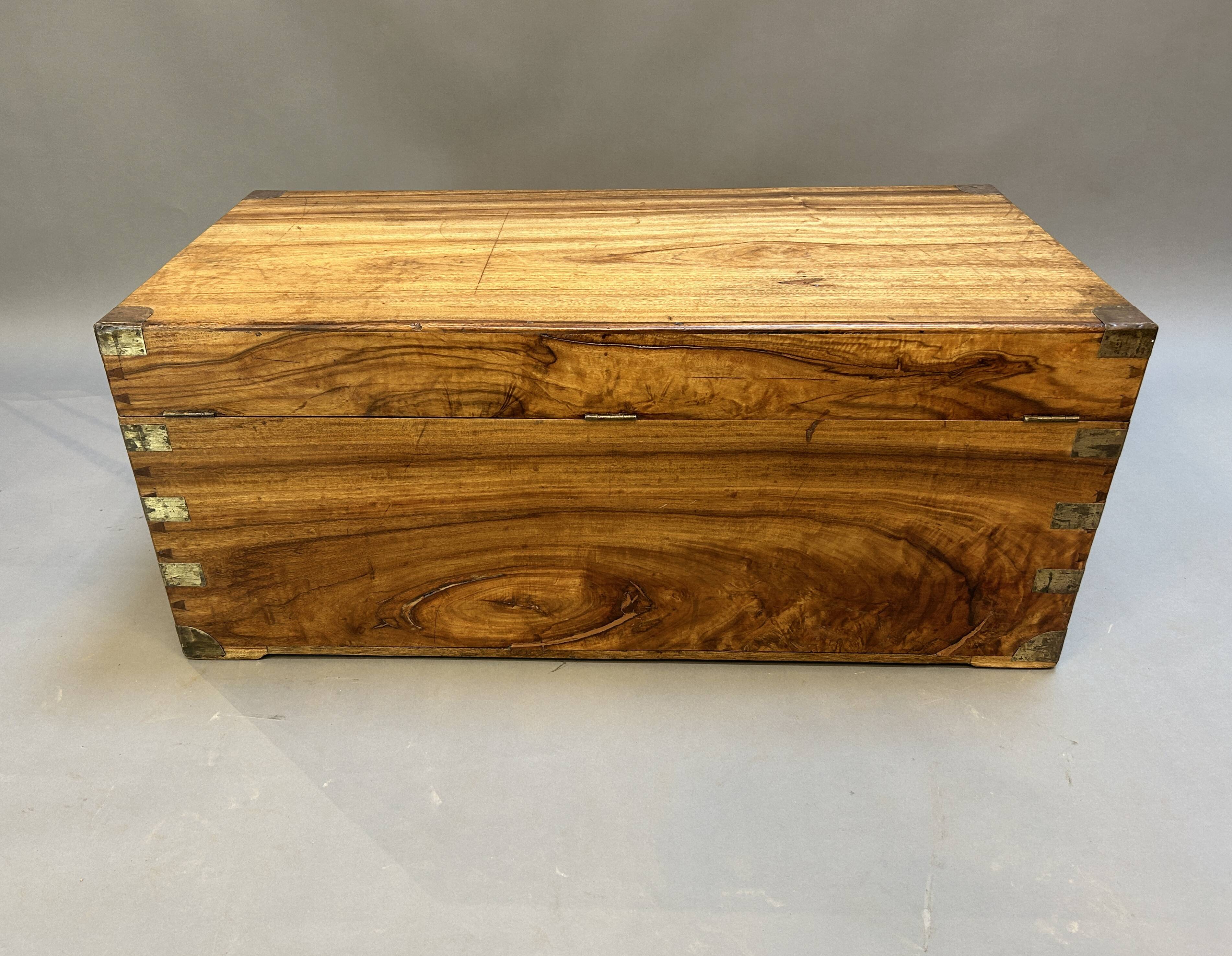 Campaign Camphor Trunk