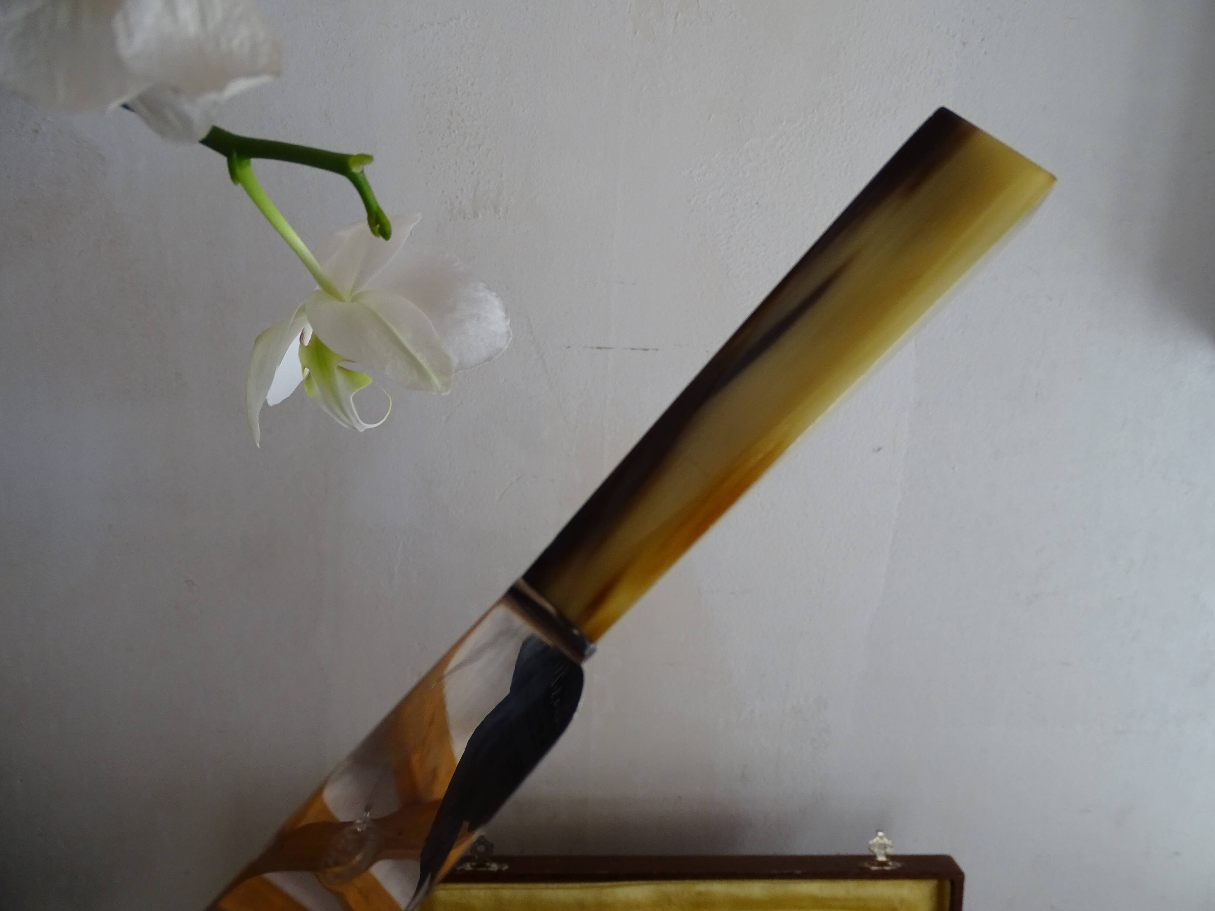 12 old Art Deco horn and stainless steel knives in case