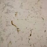 Vintage square travertine and leather coffee table