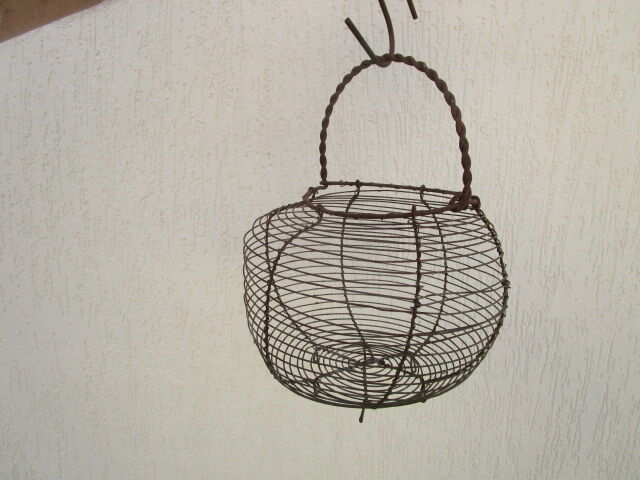 Basket with salad or old eggs in wire
