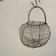 Basket with salad or old eggs in wire