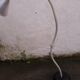 Pipe floor lamp, Artemide, Italy