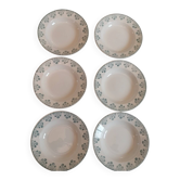 Deep plates made of ironstone from Digoin Sarreguemines.