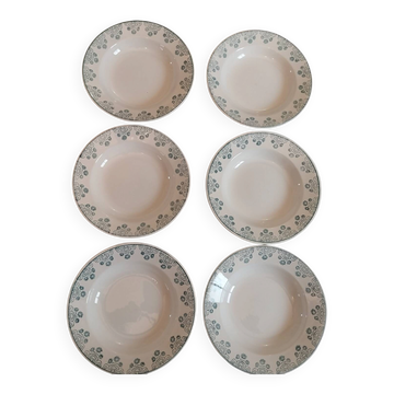 Deep plates made of ironstone from Digoin Sarreguemines.