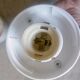 Deux appliques boule en opaline
